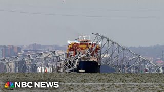 Watch: Maryland Gov. Moore gives update on Baltimore bridge collapse | NBC News