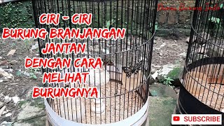 Playtube Pk Ultimate Video Sharing Website