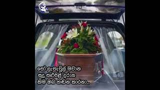 මා මිහිදන් 😇#music #love #viralvideo #viral #coversong #nature #motivation #relaxing #relaxingmusic