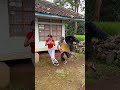 kaget grandong prank destia dikejar bilang bapaknya kabur ikutan takut lucu jaranan funny