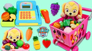 Paw Patrol Pup Baby Skye Shops for Toy Velcro Cutting Fruit & Surprise Toys with Toy Cash Register!