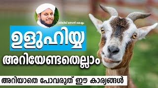 ഉളുഹിയ്യ അറിയേണ്ടതെല്ലാം│Sidheeq Mannani Speech About Uluhiyyath│Malayalam Islamic Speech