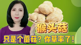 猴头菇：只是个蘑菇？NO！它不只是食材，还是脑力，免疫和消化的好帮手