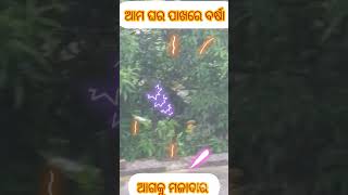 ବର୍ଷା ତୁମେ କାହିଁକି ଡେରିରେ ଆସିଲ ?