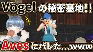 【荒野行動】αDVogel 揃って同じ場所に隠れた結果www【αD】