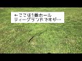 北海道ゴルフ場でキタキツネとヘビ　　red fox and snake at hokkaido golf course