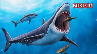 Evidence of Megalodon Attacking Each Other Found