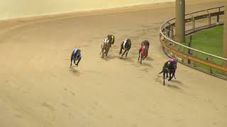 Rockhampton-06112024-Race-1