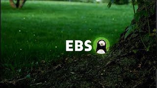 EBS 공사창립 20주년 EBS가족들의 축하 메시지