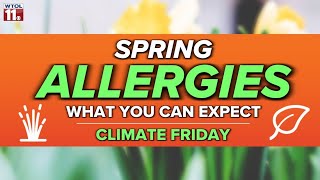 Climate Friday | Is climate change making allergies worse?