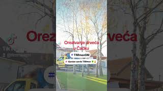 Orezivanje i seča drveća u Čačku 064 5455055 #gardenservis_timmax #timmaxgm #timmax