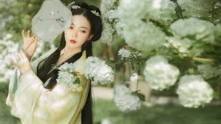 Beautiful Chinese Music 1小時純中國風音樂(古箏、琵琶、竹笛、二胡)