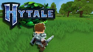 What's Next For Hytale?...