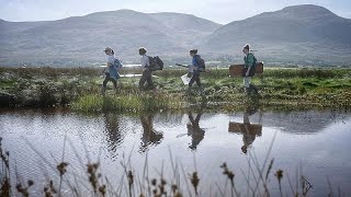 Could Europe's coastal wetlands address our climate change concerns?