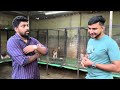 a quality beagle dog farm ❤️ dog farm kerala trivandrum beagle dog farm