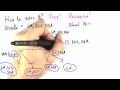 Party Time - Programming Languages