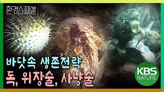 바닷속 살벌한 생존전략! 독, 위장술, 사냥술 [환경스페셜-여름특집 바다 2부작 1편 바다는 살아있다] / KBS 20070718 방송