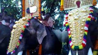 palakal pooram