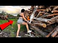 Unbelievable Fastest Big Forestry Chainsaw Machines Working At Another Level #woodworking #firewood