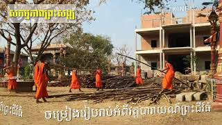 សកម្មភាពរបស់ព្រះសង្ឃធ្វើការងារក្នុងវត្ត(The activities of monks to do some working in Baray Pagoda).