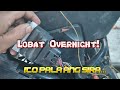 Lobat overnight? Let's troubleshoot!