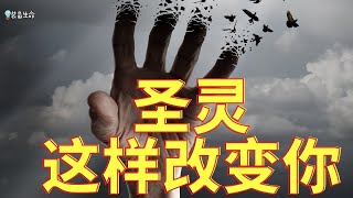 生命智慧 244 【你必须让圣灵改变你的生命】祂使我们更像基督 l 装备生命