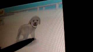 Nintendogs Help and Advice: Advance/Combo Tricks: Get Up Part 2!