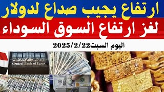 سعر الدولار اليوم/أسعار الدولار في مصر اليوم السبت2025/2/22/سعر الدولار في السوق السوداء في مصر