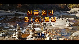 십간론 98 🍹 신금 일간 해亥월생 - 피클의 행복한 명리