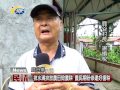 20170721 民議新聞 排水溝排放農田毀農耕 農民期盼修建好復耕 縣議員 許素霞