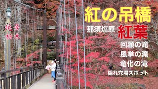 紅の吊橋と紅葉【回顧の滝】【風挙の滝】【竜化の滝】隠れ穴場スポット