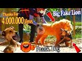 Big Fake Lion vs Prank Dogs - Must Watch Funny Video Will Make You Loughct 2023