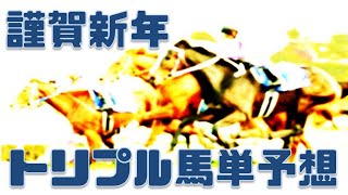 初夢賞・時計修理のクイック新春記念・２０ｔｈゴールデンホース賞【2023年1月1日川崎競馬トリプル馬単予想】