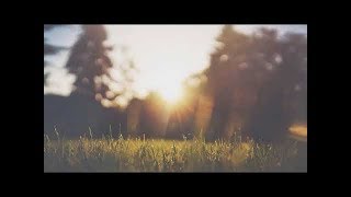 Soft Relaxing Guitar Music Instrumental Acoustic 10 Hours -Best Relaxing Music
