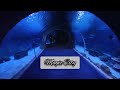 Magic City Tashkent 🧚🧚🧙🧙🦸🦸 Aquarium 🏖️ Океанариум Ташкент 🌄🌄Отдых и развлечения 🏝️🏝️ Узбекистан 2023