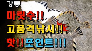 99회 동해안 강릉시 기수역쪽 생활 강도다리 원투낚시 핫!! 대박!! 포인트!! South Korea Surf-Casting