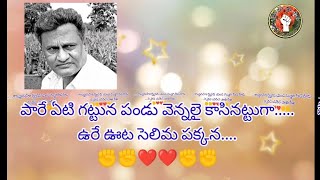 అమ్మ అడవమ్మ...... అన్ని రవన్న అడుగులేనమ్మ....#viplava#cpiml#naganna#goreti