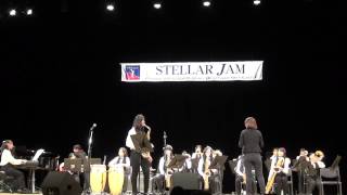 リトルヒルズ　2014　Ballad For A Rough Year　in Stellar Jam