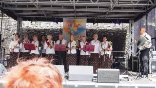 2016.08.14. XXV MIĘDZYNARODOWY FESTIWAL FOLKLORU STRZEGOM 2016