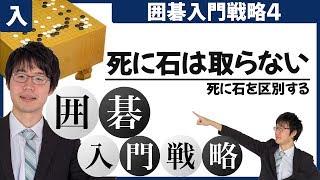 【囲碁入門】戦略編❹ ~死に石は取らない~#14  #プロ棋士 #柳澤理志