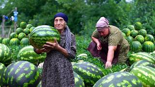 Harvesting Watermelon | Making Watermelon Jam and Lokum