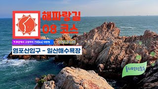 해파랑길 08코스 : 염포산 입구에서 일산해수욕장까지 해파랑길 8코스 영상기록