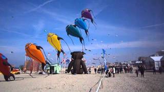 30èmes Rencontres Internationales de Cerfs-Volants 2016.