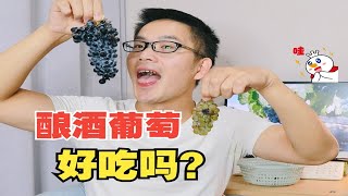 试吃宁夏的酿酒葡萄，味道超出我想象