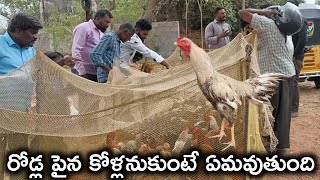 రోడ్లపైన కోళ్లను కొంటే ఏమవుతుంది||నాటు కోడి పిల్లలు ఎక్కడ అమ్మాలి