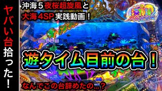 【451日目】Pスーパー海物語in沖縄5夜桜超旋風！ヤバい台が落ちてたから即移動したら？（ガチ実践動画2022/10/18）