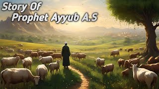 Story Of Prophet Ayyub A.S | AI Animation