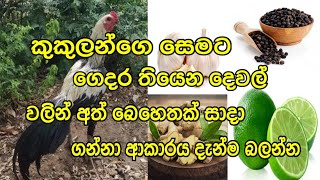 How to make hand meds for chickens at home කුකුලන්ගෙ සෙමට ගෙදරදිම අත් බෙහෙත් සාදා ගන්නා ආකාරය