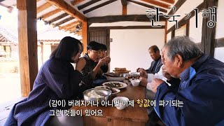 한국기행 - Korea travel_낙동강 기행 2부- 가을이 주렁주렁_#002