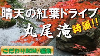 ドライブ｜鹿児島｜霧島観光｜紅葉｜丸尾滝｜撮影日 2022年11月25日